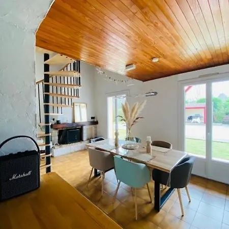 Landaise Et Sa Grande Piscine Feriehus Biscarrosse