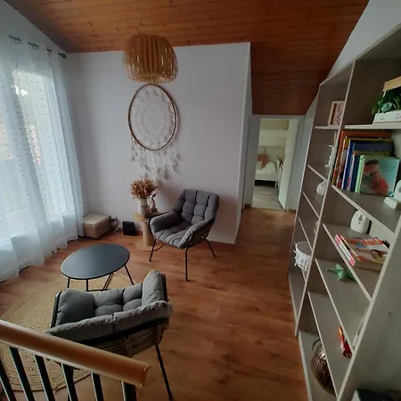 Landaise Et Sa Grande Piscine Feriehus Biscarrosse
