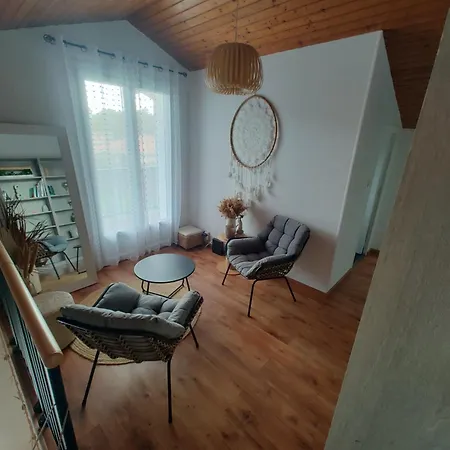 Landaise Et Sa Grande Piscine Feriehus *