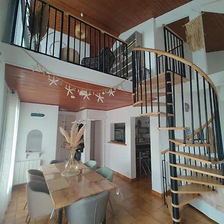 Landaise Et Sa Grande Piscine Feriehus Biscarrosse