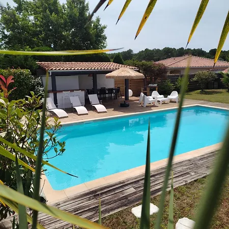 Landaise Et Sa Grande Piscine Biscarrosse