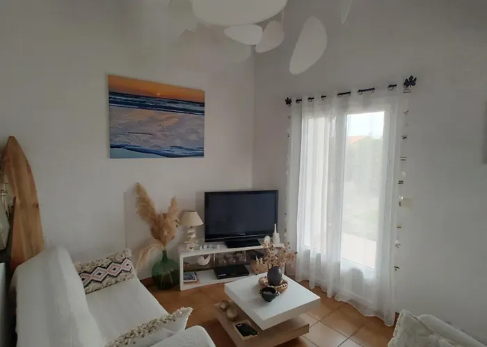 Landaise Et Sa Grande Piscine Biscarrosse