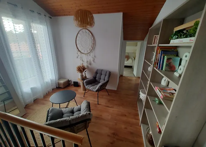 Landaise Et Sa Grande Piscine Feriehus Biscarrosse